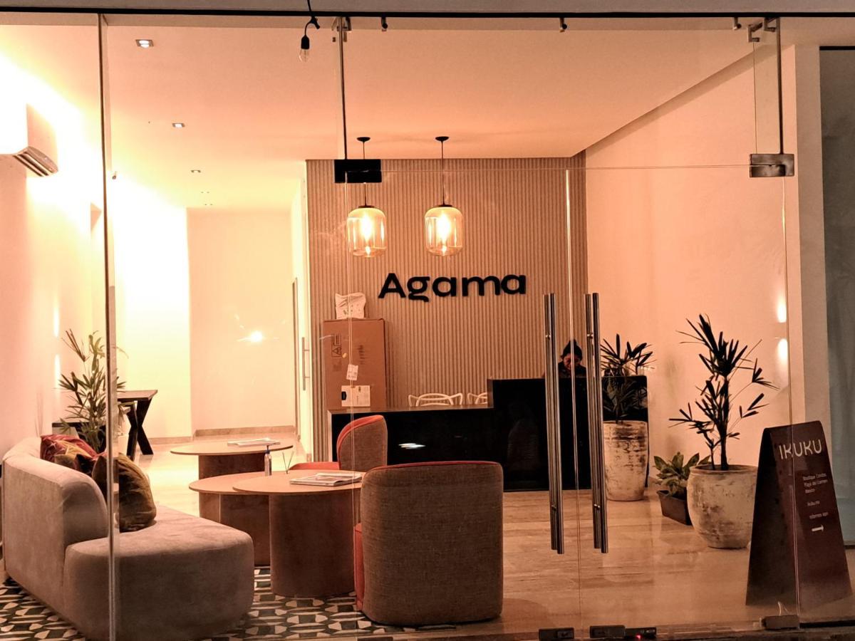 Agama Condos Playa del Carmen Zewnętrze zdjęcie